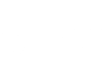 Usay